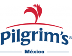 Pilgrims Logo