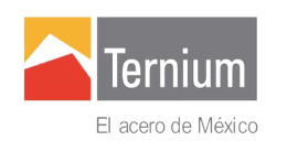Ternium Logo